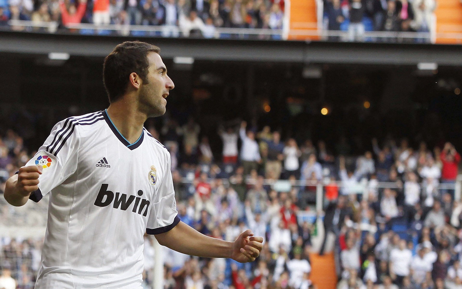 球队整体阵容再添新员，志在夺冠，所在球队